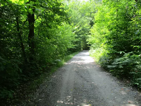 Coyote Trail, Frederic, MI 49733 photo 8