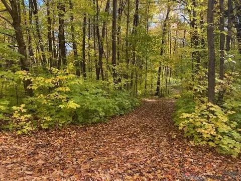 Coyote Trail, Frederic, MI 49733