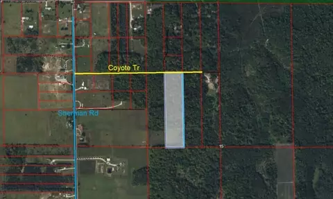 Coyote Trail, Frederic, MI 49733 photo 2