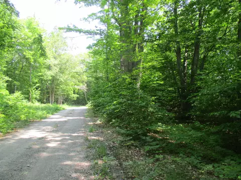 Coyote Trail, Frederic, MI 49733 photo 9