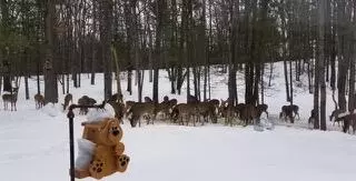 2392 Chipmunk Trail Grayling Mi 49738 Trl, Grayling, MI 49738 photo 38