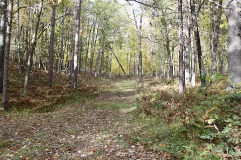 2392 Chipmunk Trail Grayling Mi 49738 Trl, Grayling, MI 49738 photo 25