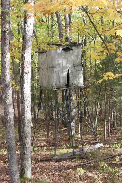 2392 Chipmunk Trail Grayling Mi 49738 Trl, Grayling, MI 49738 photo 35
