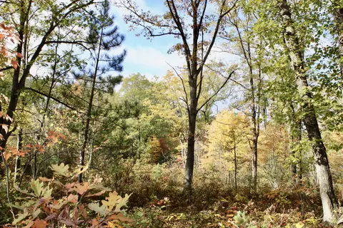 2392 Chipmunk Trail Grayling Mi 49738 Trl, Grayling, MI 49738 photo 31