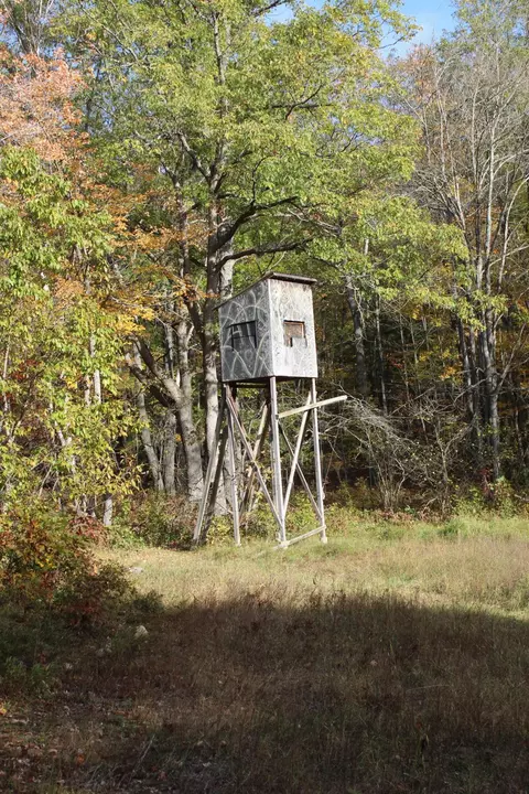 2392 Chipmunk Trail Grayling Mi 49738 Trl, Grayling, MI 49738 photo 28