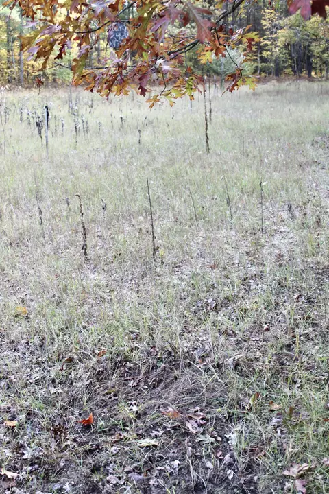 2392 Chipmunk Trail Grayling Mi 49738 Trl, Grayling, MI 49738 photo 32