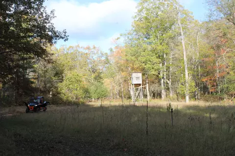 2392 Chipmunk Trail Grayling Mi 49738 Trl, Grayling, MI 49738 photo 34