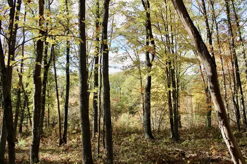 2392 Chipmunk Trail Grayling Mi 49738 Trl, Grayling, MI 49738 photo 30