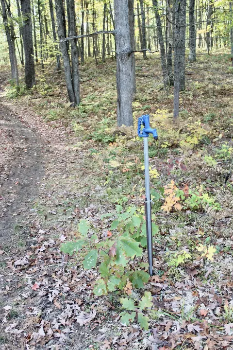 2392 Chipmunk Trail Grayling Mi 49738 Trl, Grayling, MI 49738 photo 33
