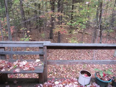 9475 N Cut Road Roscommon Mi 48653 Rd, Roscommon, MI 48653 photo 59
