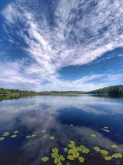 Spile Dam Road, Millersburg, MI 49759