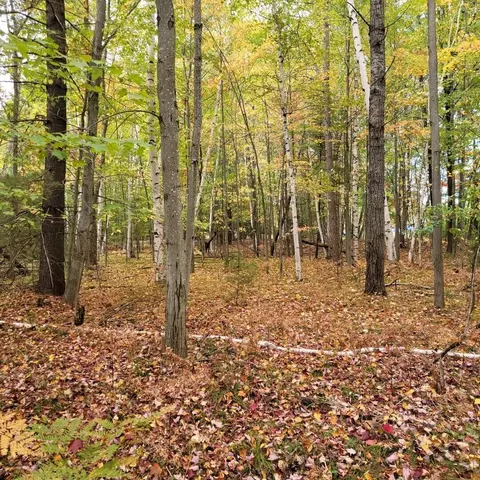 711 Springwood Drive #LOT 0711 & 0705, Prudenville, MI 48651