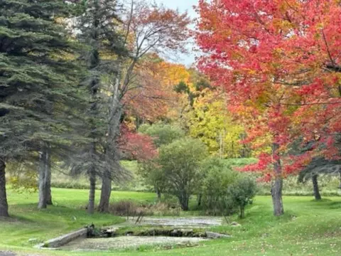 5145 N Lafave Road Black River Mi 48721 Rd, Black River, MI 48721 photo 9