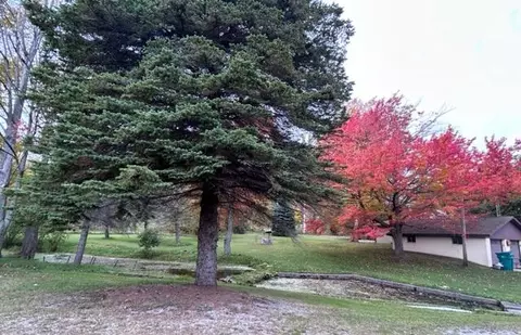 5145 N Lafave Road Black River Mi 48721 Rd, Black River, MI 48721 photo 8