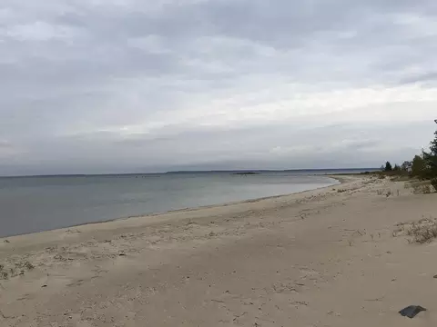 4319 Straits View Dr, Carp Lake, MI 49718