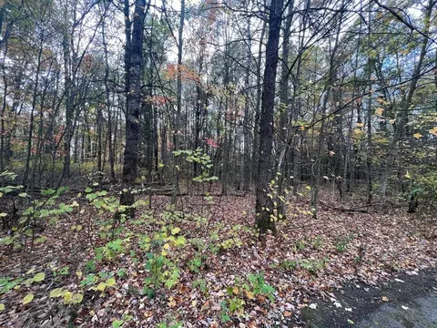 Elise Lane, Houghton Lake, MI 48629