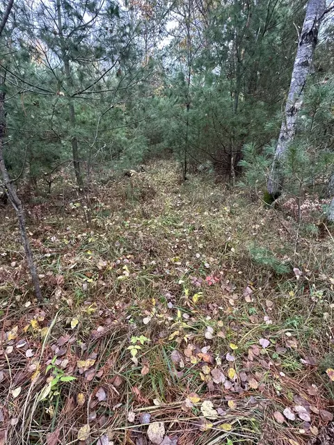 N Spite Avenue, Grayling, MI 49738 photo 9