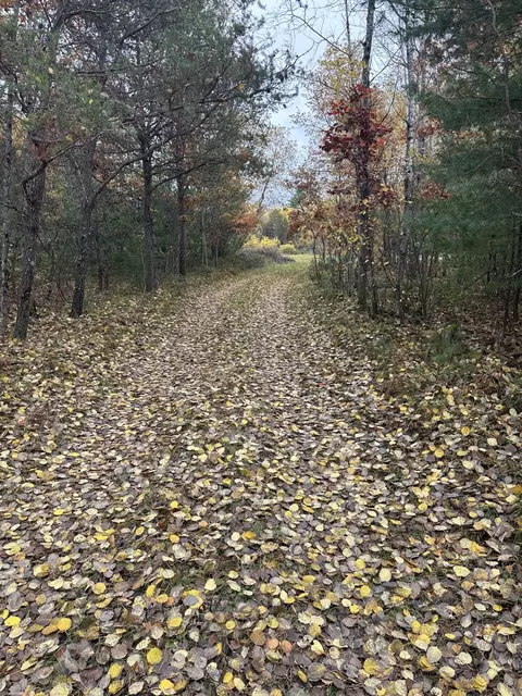 N Spite Avenue, Grayling, MI 49738