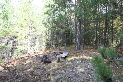 Scott Trail, Wolverine, MI 49799 photo 10