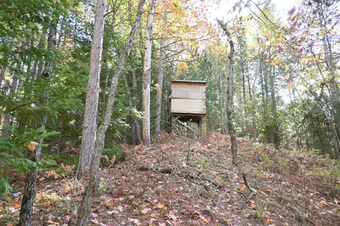 Scott Trail, Wolverine, MI 49799 photo 11