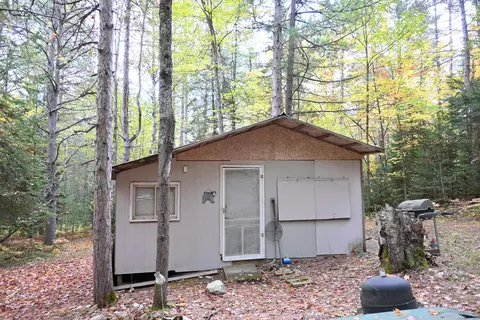 Scott Trail, Wolverine, MI 49799