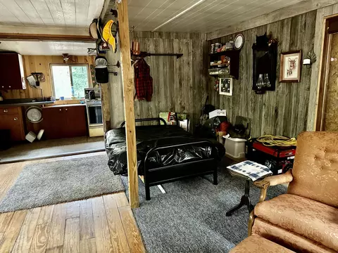 Scott Trail, Wolverine, MI 49799 photo 31