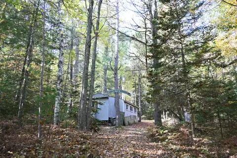 Scott Trail, Wolverine, MI 49799 photo 3