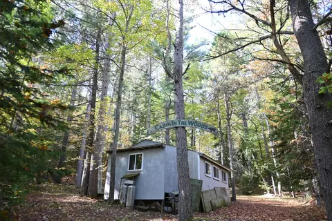 Scott Trail, Wolverine, MI 49799 photo 4