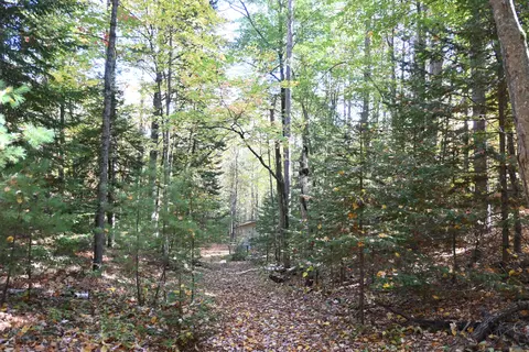 Scott Trail, Wolverine, MI 49799 photo 8