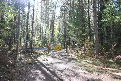 Scott Trail, Wolverine, MI 49799 photo 23