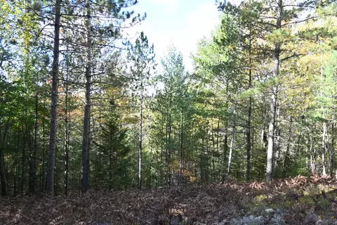 Scott Trail, Wolverine, MI 49799 photo 9