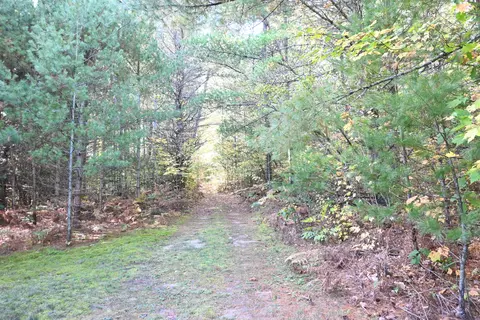 Scott Trail, Wolverine, MI 49799 photo 21