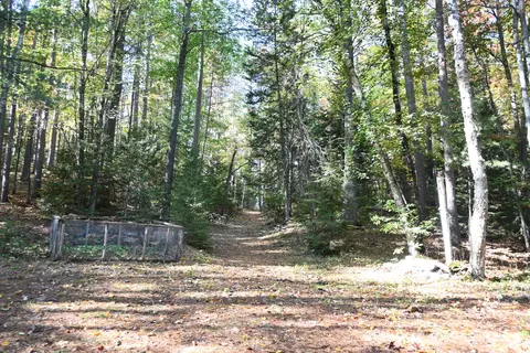 Scott Trail, Wolverine, MI 49799 photo 5