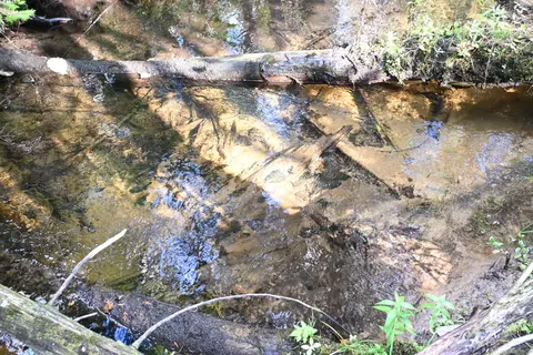 Scott Trail, Wolverine, MI 49799 photo 12