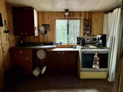 Scott Trail, Wolverine, MI 49799 photo 27