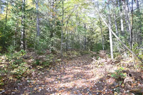 Scott Trail, Wolverine, MI 49799 photo 7