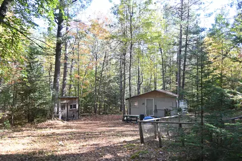 Scott Trail, Wolverine, MI 49799 photo 6