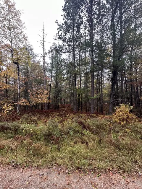 Palmer Place, Grayling, MI 49738