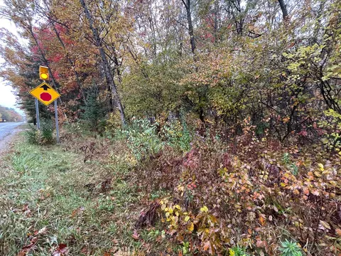 lot150 S Tower Hill Road Houghton Lake Mi 48629 Rd, Houghton Lake, MI 48629