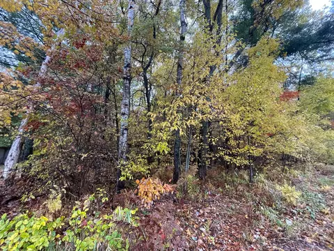 lot757 S Tower Hill Road Houghton Lake Mi 48629 Rd, Houghton Lake, MI 48629
