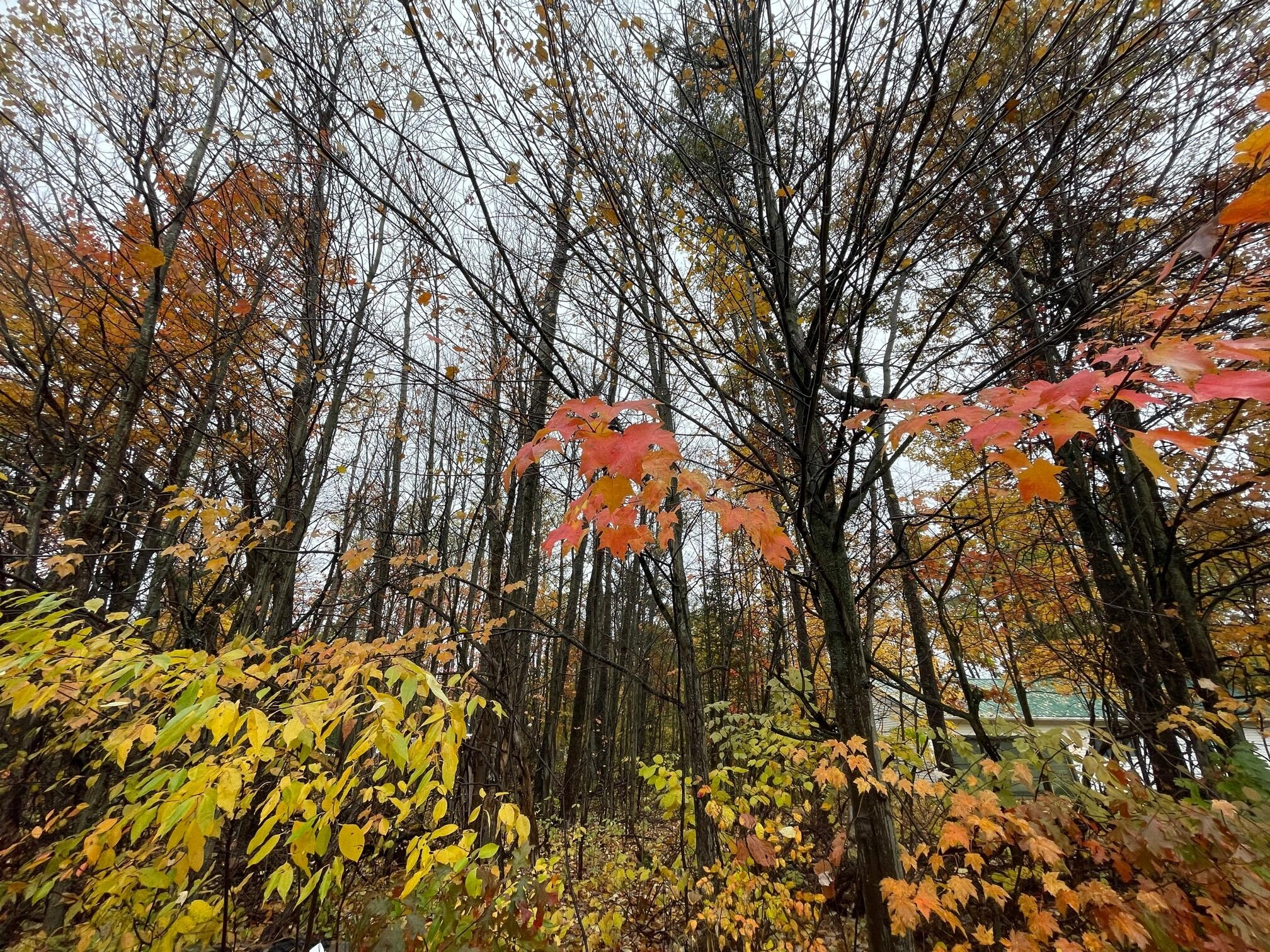 733 South Tower Hl Rd  