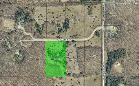 lot9 Tag Alder Trail 478 Acres Gaylord Mi 49735 Trl #4.78 ACRES, Gaylord, MI 49735