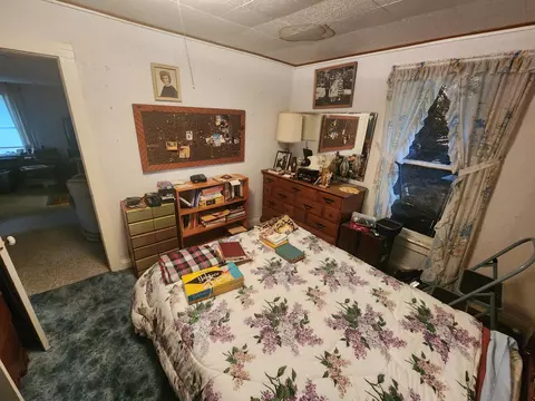 1190 Cauchy Road Mio Mi 48647 Rd, Mio, MI 48647 photo 31