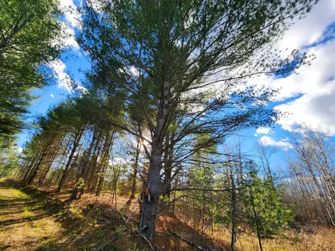 1190 Cauchy Road Mio Mi 48647 Rd, Mio, MI 48647 photo 46