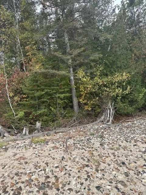 ''c'' Huron Trail, Cheboygan, MI 49721