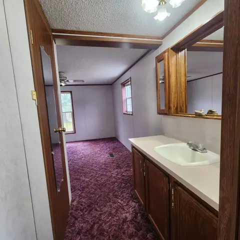 3507 E Sturgeon Valley Road Vanderbilt Mi 49795 Rd, Vanderbilt, MI 49795 photo 14