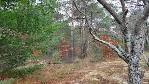 lot7 Bonter Court Cheboygan Mi 49721 Ct, Cheboygan, MI 49721