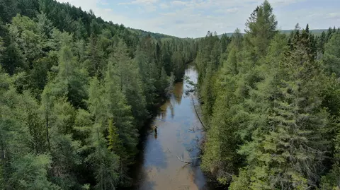 7728 Cabin Valley Ln, Vanderbilt, MI 49795