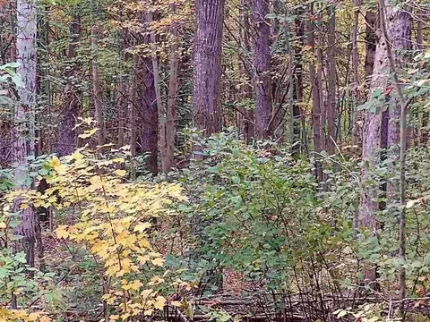272 Ridgeview Drive #LOT 272, Houghton Lake, MI 48629