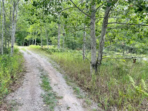 52825290 Spruce Dr, Lewiston, MI 49756